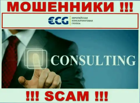 Consulting - это направление деятельности незаконно действующей конторы E.C.G
