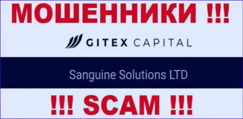 Юридическое лицо Гитекс Капитал - это Сангин Солютионс ЛТД, такую информацию показали мошенники у себя на web-сайте