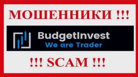 BudgetInvest Org - это ЖУЛИКИ !!! Деньги выводить отказываются !!!