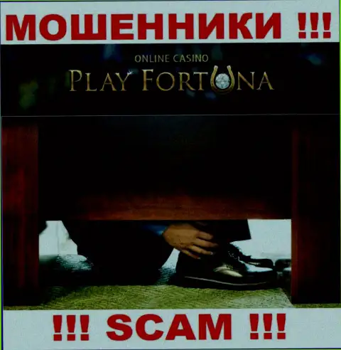 Организация PlayFortuna Com работает без регулятора - это еще одни internet обманщики