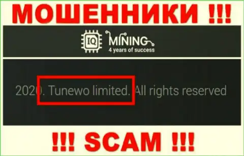 Мошенники IQ Mining сообщают, что именно Tunewo Limited руководит их разводняком