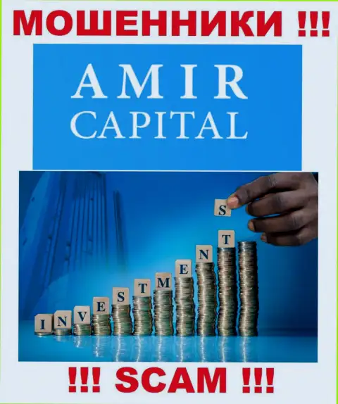 Не отдавайте денежные активы в Амир Капитал, род деятельности которых - Инвестиции
