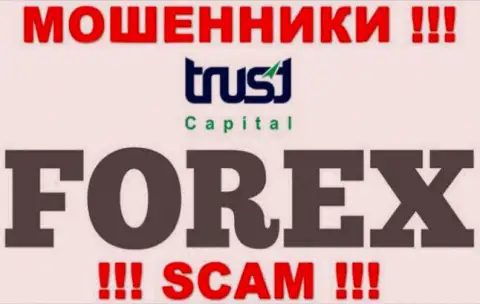 Не стоит верить, что область деятельности Trust Capital - Forex законна - это лохотрон