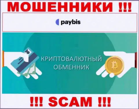 Crypto exchanger это вид деятельности противозаконно действующей компании PayBis