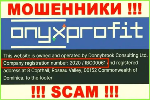 Номер регистрации, который присвоен организации Оникс Профит - 2020 / IBC00061