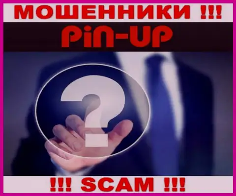 Не взаимодействуйте с internet жуликами Pin Up Casino - нет инфы о их непосредственном руководстве