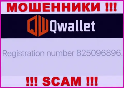 Организация Q Wallet засветила свой рег. номер у себя на официальном web-сервисе - 825096896