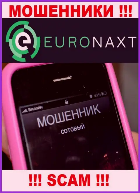 Вас намерены развести на деньги, EuroNax в поиске новых жертв