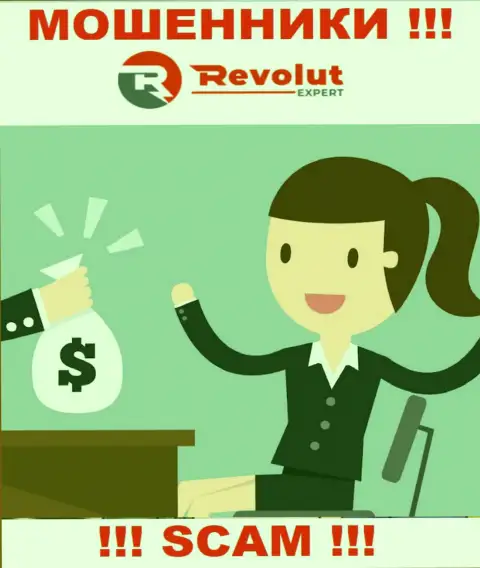 Если дадите согласие на предложение RevolutExpert совместно сотрудничать, то тогда останетесь без финансовых вложений