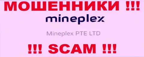 Руководителями Mine Plex является организация - МинеПлекс ПТЕ ЛТД