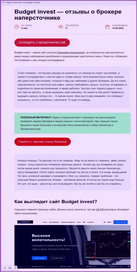 Budget Invest - это ВОРЮГИ !  - достоверные факты в обзоре неправомерных деяний организации