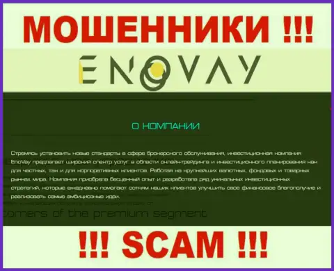 Так как деятельность интернет-мошенников EnoVay - это сплошной обман, лучше сотрудничества с ними избегать