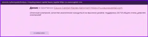 Дилинговая фирма Кауво Капитал представлена в отзыве на интернет-ресурсе revocon ru