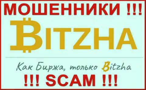 Bitzha24 - это ЖУЛИКИ ! Финансовые активы не отдают !!!