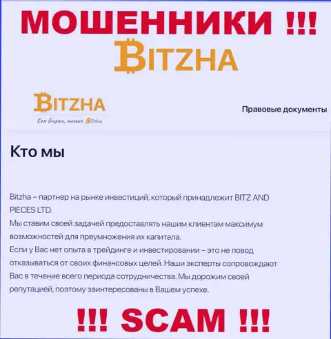 Bitzha24 - это профессиональные мошенники, сфера деятельности которых - Инвестиции