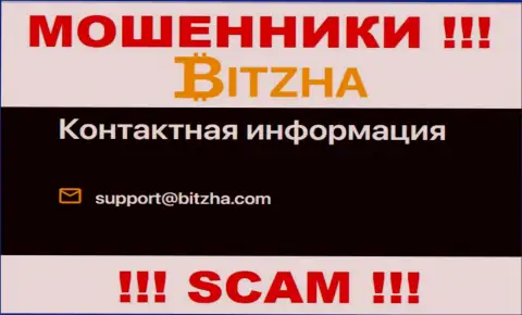Е-мейл мошенников Bitzha24 Com, информация с официального сайта