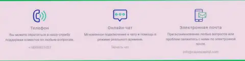 Официальный интернет-портал организации КаувоКапитал Ком